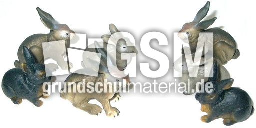 Hasen4+3.jpg